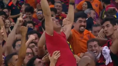 VÍDEO: treinador foi expulso e acabou a festejar a vitória no meio dos adeptos - TVI