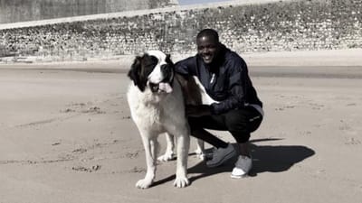 William Carvalho lamenta morte do cão: «Perdi o meu Boris» - TVI