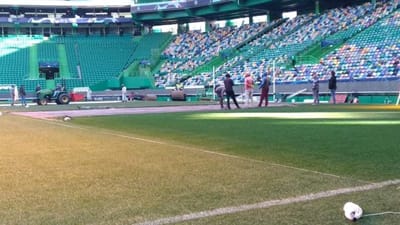 Sporting: intervenção no relvado para o jogo com o Dortmund - TVI