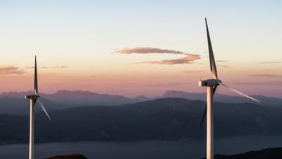 Portugal falhou transposição de diretiva sobre energias renováveis, denuncia associação Zero - TVI