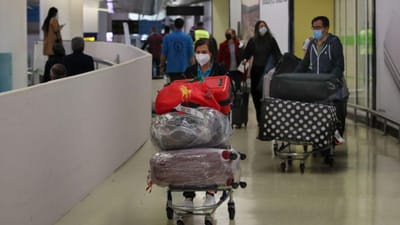Vai haver "um reforço "muito forte" da fiscalização" no aeroporto no Natal, diz Berta Nunes - TVI