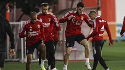 Benfica: Pizzi, Yaremchuk e Radonjic positivos a covid-19 - TVI