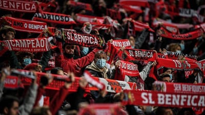 Benfica: administrador indicado por José António dos Santos entra na SAD - TVI