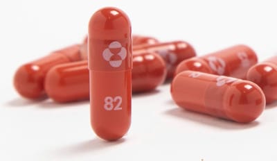 DGS anuncia que Portugal vai adquirir medicamento da Pfizer contra a covid-19, mas deixa um aviso - TVI
