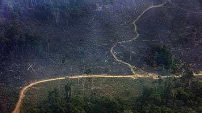 Amazónia registou num só dia o maior número de incêndios dos últimos 15 anos - TVI