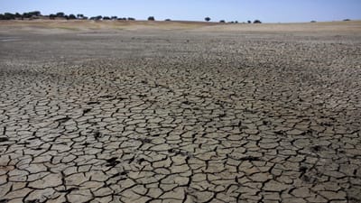 97% do território continental em seca severa em maio (o mais quente desde 1931) - TVI