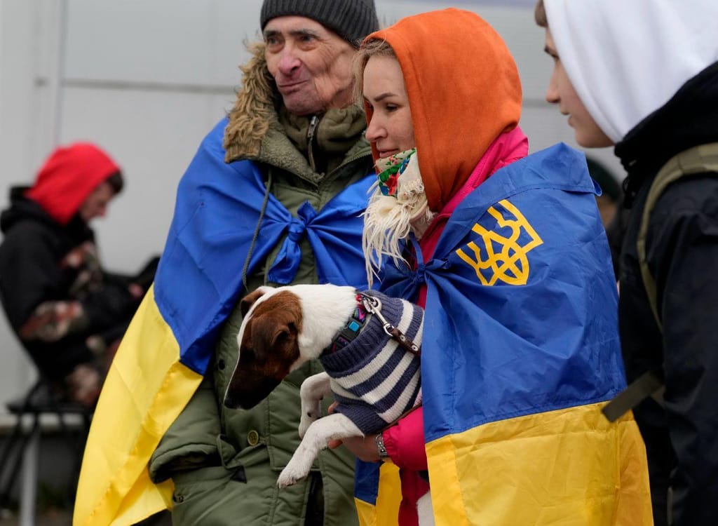 Famílias não abandonam animais de estimação na fuga da Ucrânia (Associated Press)