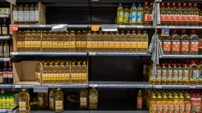 Maia, Seixal e Oeiras recolhem mais óleos alimentares usados - TVI