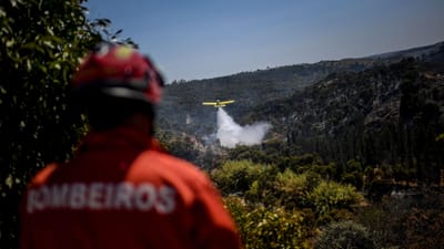 Proteção Civil está a analisar pedido de escusa apresentado por comandantes dos bombeiros - TVI