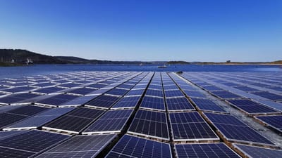 EDP Renováveis vende parque solar nos EUA por 281 milhões - TVI