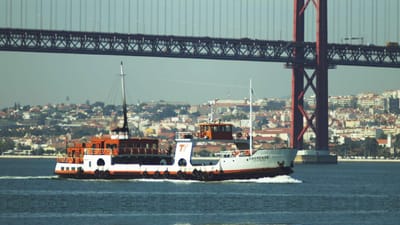 Ligação fluvial entre Lisboa e concelhos do Seixal e Montijo continua com constrangimentos - TVI