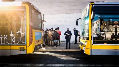 Carris Metropolitana traz mais 20% de horários em autocarros - TVI