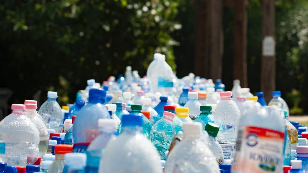 Reciclagem em Vila Nova de Poiares (Foto: M. Maeder/Pexels)