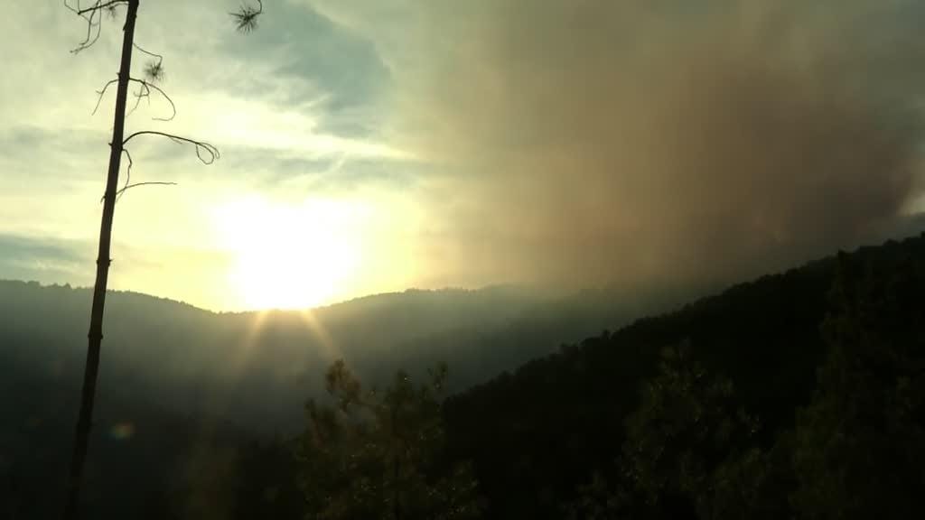 Oito meios aéreos e mais de 100 bombeiros combatem chamas em Castelo Branco