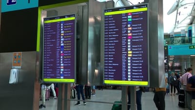 "Uma nova realidade", nunca chegaram tantos passageiros de avião a Lisboa: a justificação do SEF para os atrasos no aeroporto - TVI