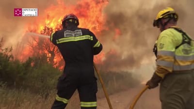 Chamas circunscritas em Zamora no maior fogo da década em Espanha - TVI