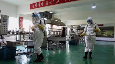 A misteriosa doença intestinal não identificada que deixou a Coreia do Norte a falar em "epidemia" - TVI