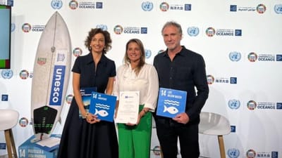 "O mar pede socorro". Maya Gabeira bateu o recorde da Nazaré, mas agora o desafio é (ainda) maior: "Eu surfo rodeada de plástico" - TVI