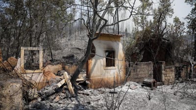 Quatro casas de segunda habitação afetadas por incêndio no concelho da Guarda - TVI