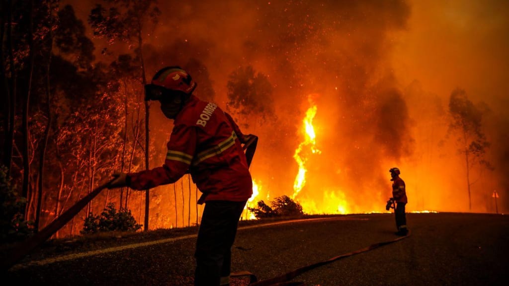 Incêndio florestal nos arredores da freguesia de Memória, em Leiria (Paulo Cunha/ Lusa)