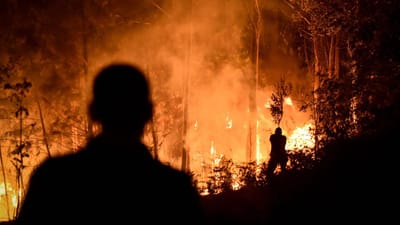 Chile impõe estado de exceção após dez mortos em incêndios florestais - TVI
