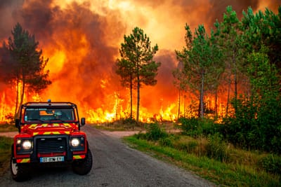 Europa Ocidental continua a combater fogos provocados por onda de calor - TVI
