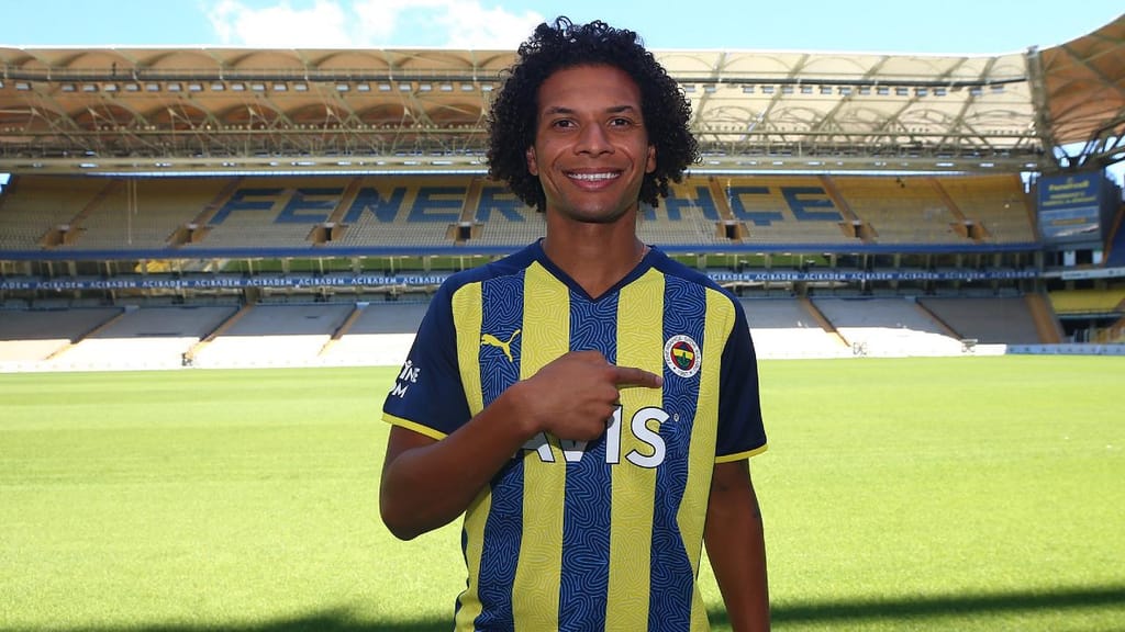 Willian Arão (Fenerbahçe)