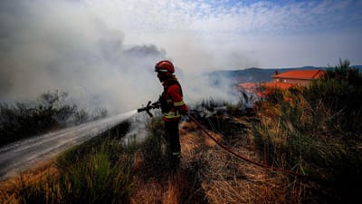 Cerca de 80 concelhos do interior Norte, Centro e Alto Alentejo em risco máximo de incêndio - TVI