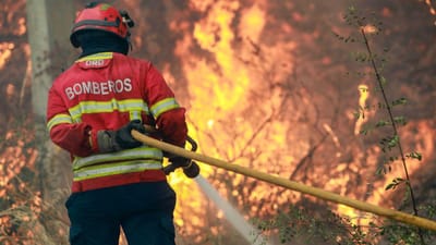 Espanha teve este ano o maior fogo de que há registo e tem a maior área ardida na União Europeia - TVI