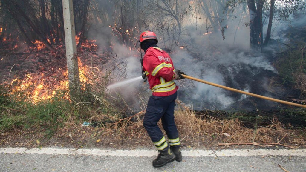Incêndios na Guarda (Miguel Pereira da Silva, Lusa)