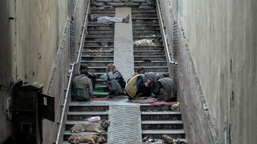 Um grupo de toxicodependentes reunido para fumar heroína debaixo de uma ponte em Cabul, rodeado por cães viciados que dormem nas escadas, numa fotografia tirada a 7 de Junho. (Ebrahim Noroozi/ AP) 