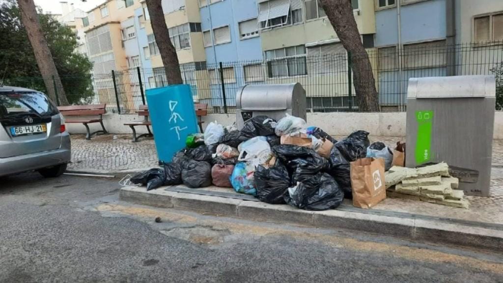 Lixo em Lisboa: moradores queixam-se de falta de recolha