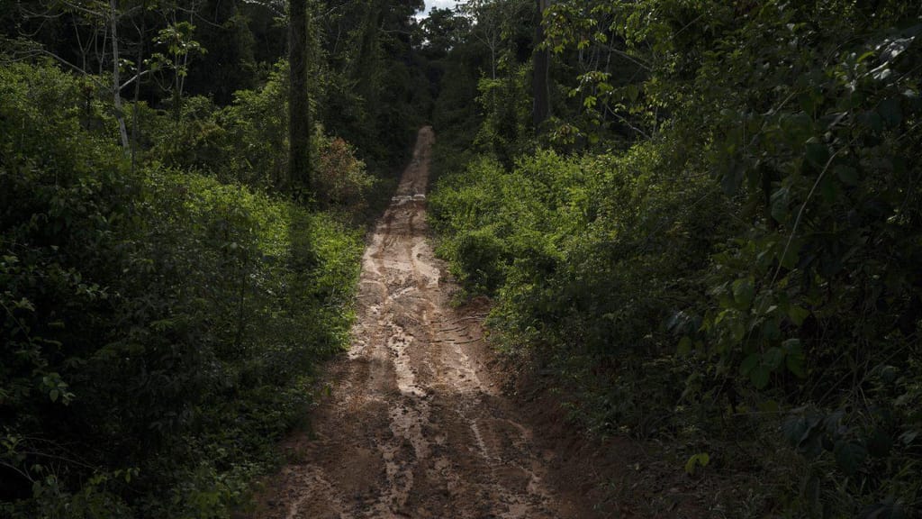 Desflorestação na Amazónia (Foto: L. Correa/AP)