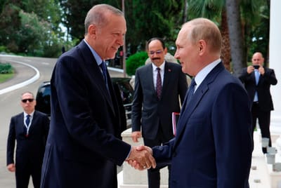 Síria: Erdogan propõe a Putin reunião com al-Assad para iniciar processo de paz - TVI