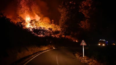Portugal acaba de perder 16% da Serra da Estrela, "milhares de pessoas foram colocadas em risco": o fogo e o que falhou - TVI