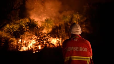 Proteção Civil deve mais de meio milhão de euros aos bombeiros, alerta Liga - TVI