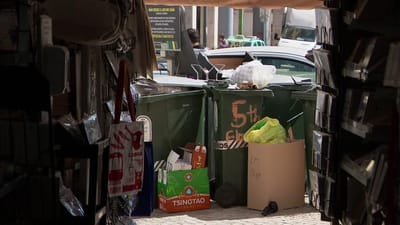 Pragas de ratos e baratas: Lisboa esteve dois meses sem contrato para ações de prevenção nas ruas - TVI