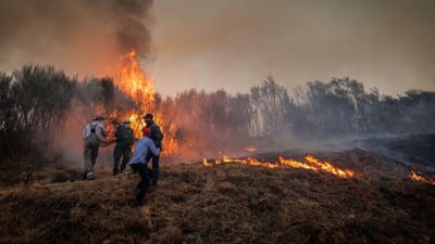 Vários concelhos do país em perigo muito elevado ou elevado de incêndio - TVI