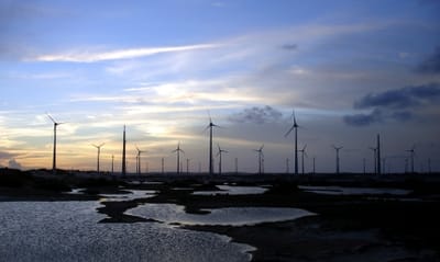 EDP quer que 75% da sua energia seja «verde» até 2013 - TVI