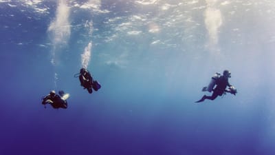 Mergulhador morre após entrar em dificuldades nas águas de Sesimbra - TVI