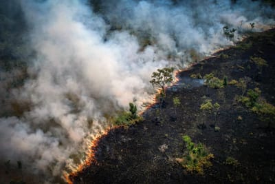 Há 12 anos que não se registavam tantos incêndios na Amazónia como aconteceu em agosto - TVI
