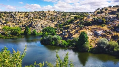 Portugal e Espanha comprometem-se com “soluções que minimizem impactos” da seca - TVI