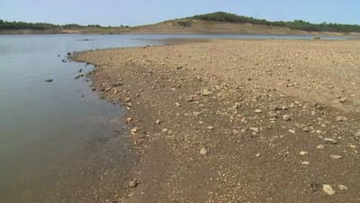 Seca: peixes morrem em barragem no concelho alentejano de Almodôvar - TVI