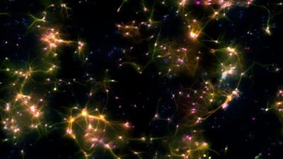 Estes neurónios de laboratório fizeram um jogo de Pong - TVI