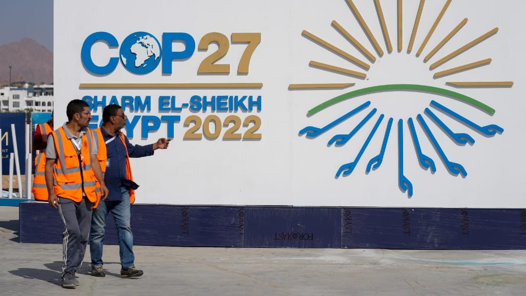 COP27 (AP Photo/Peter Dejong)