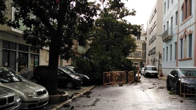 Encerrada escola na freguesia lisboeta da Estrela após queda de árvore no telhado - TVI