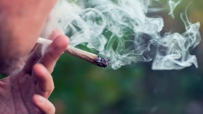 Fumar marijuana afeta ainda mais os pulmões dos fumadores de tabaco - TVI
