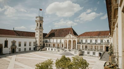 Universidade de Coimbra identifica molécula envolvida na extinção do medo - TVI