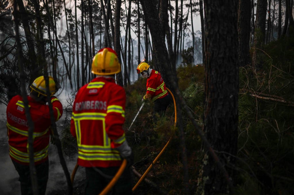 Bombeiros em incêndios florestais (Getty)