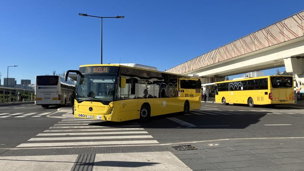 Autocarro da Carris Metropolitana, Terminal Campo Grande (foto: DR/AWAY)